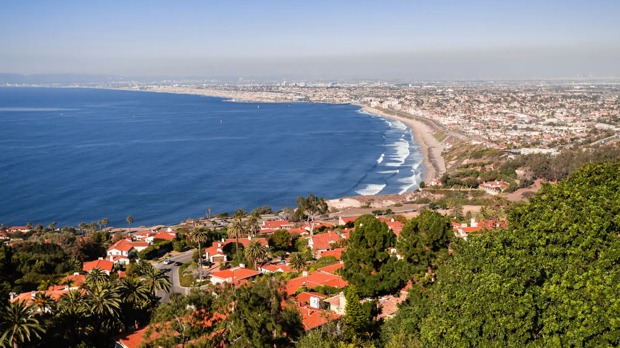 Torrance PM Banner